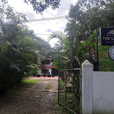 The Leisure Home Stay Shadipur エクステリア 写真